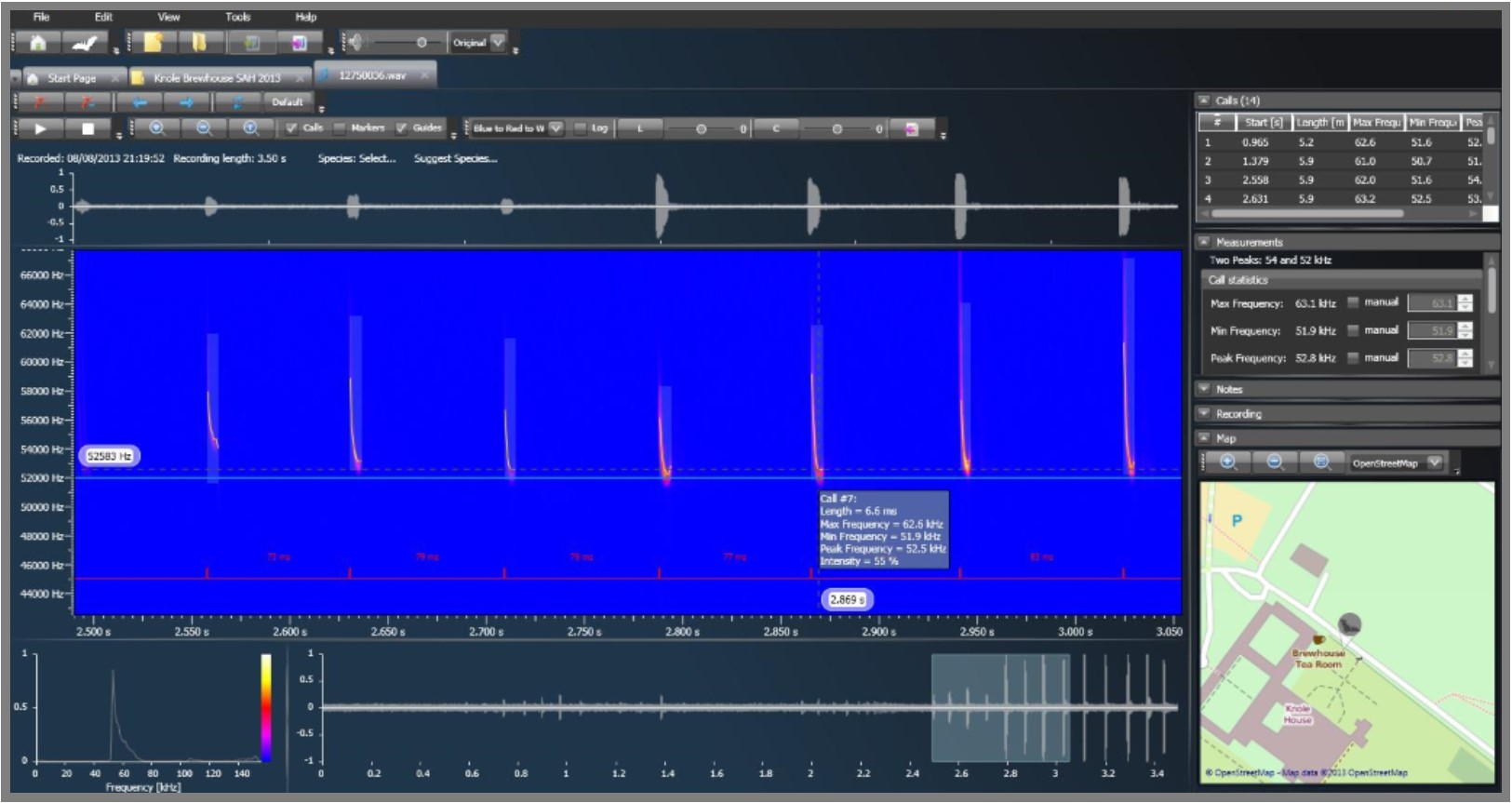 Bat Survey